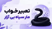 تعبیر خواب مار سیاه بی آزار