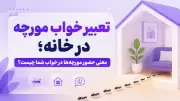 تعبیر خواب مورچه در خانه؛ معنی حضور مورچه‌ها در خواب شما چیست؟