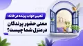 تعبیر خواب پرنده در خانه: معنی حضور پرندگان در منزل شما چیست؟