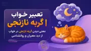 تعبیر خواب گربه نارنجی | معنی دیدن گربه نارنجی در خواب از دید معبران و روانشناسی