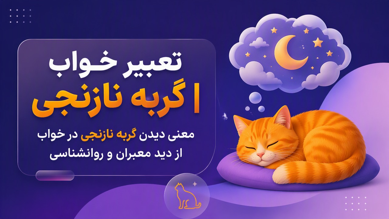 تعبیر خواب گربه نارنجی | معنی دیدن گربه نارنجی در خواب از دید معبران و روانشناسی