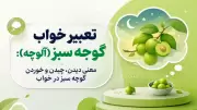 تعبیر خواب گوجه سبز (آلوچه): معنی دیدن، چیدن و خوردن گوجه سبز در خواب