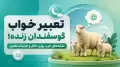 تعبیر خواب گوسفندان زنده؛ نشانه‌های خیر، روزی حلال و جزئیات تعابیر