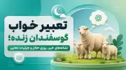 تعبیر خواب گوسفندان زنده؛ نشانه‌های خیر، روزی حلال و جزئیات تعابیر