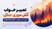 تعبیر خواب آتش سوزی جنگل: معنی دیدن حریق در جنگل و نشانه‌های آن