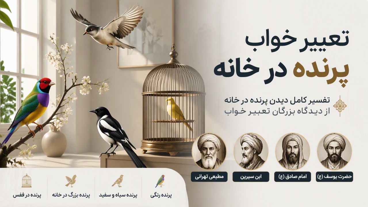 تعبیر خواب پرنده در خانه, تعبیر خواب پرنده, پرنده در قفس, پرنده رنگی, پرنده سیاه سفید, پرنده بزرگ در خانه, حضرت یوسف, امام صادق, ابن سیرین, مطیعی تهرانی, 