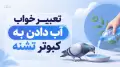 تعبیر خواب آب دادن به کبوتر تشنه