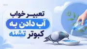تعبیر خواب آب دادن به کبوتر تشنه