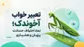 تعبیر خواب آخوندک؛ نماد احتیاط، حسادت پنهان و هشیاری