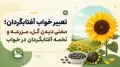 تعبیر خواب آفتابگردان؛ معنی دیدن گل، مزرعه و تخمه آفتابگردان در خواب