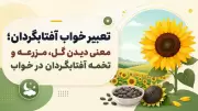 تعبیر خواب آفتابگردان؛ معنی دیدن گل، مزرعه و تخمه آفتابگردان در خواب