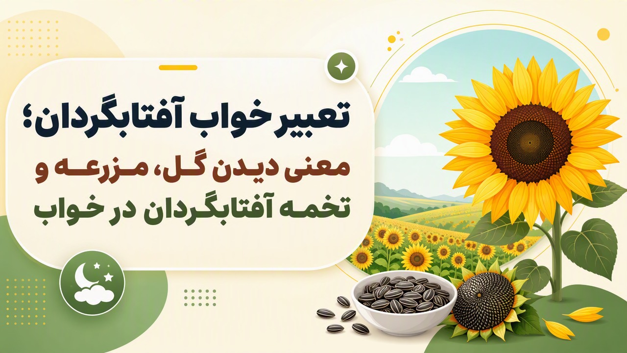 تعبیر خواب آفتابگردان؛ معنی دیدن گل، مزرعه و تخمه آفتابگردان در خواب