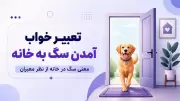 تعبیر خواب آمدن سگ به خانه | معنی سگ در خانه از نظر معبران
