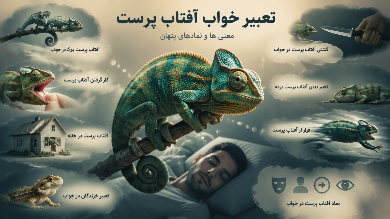تعبیر خواب آفتاب پرست, خواب آفتاب پرست, کشتن آفتاب پرست در خواب, آفتاب پرست بزرگ در خواب, گاز گرفتن آفتاب پرست, نماد آفتاب پرست در خواب, تعبیر دیدن آفتاب پرست مرده, فرار از آفتاب پرست, آفتاب پرست در خانه, تعبیر خزندگان در خواب, 