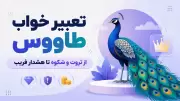 تعبیر خواب طاووس؛ از ثروت و شکوه تا هشدار فریب