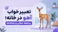 تعبیر خواب آهو در خانه؛ پیام‌ها، معانی و نشانه‌ها