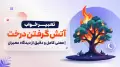 تعبیر خواب آتش گرفتن درخت | معنی کامل و دقیق از دیدگاه معبران
