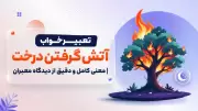 تعبیر خواب آتش گرفتن درخت | معنی کامل و دقیق از دیدگاه معبران