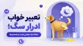 تعبیر خواب ادرار سگ؛ نشانه ها، معانی مثبت و هشدارها