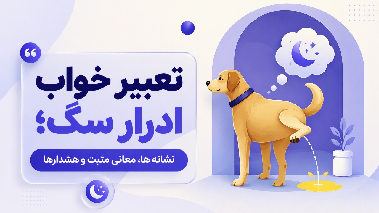 تعبیر خواب ادرار سگ؛ نشانه ها، معانی مثبت و هشدارها