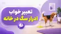 تعبیر خواب ادرار سگ در خانه