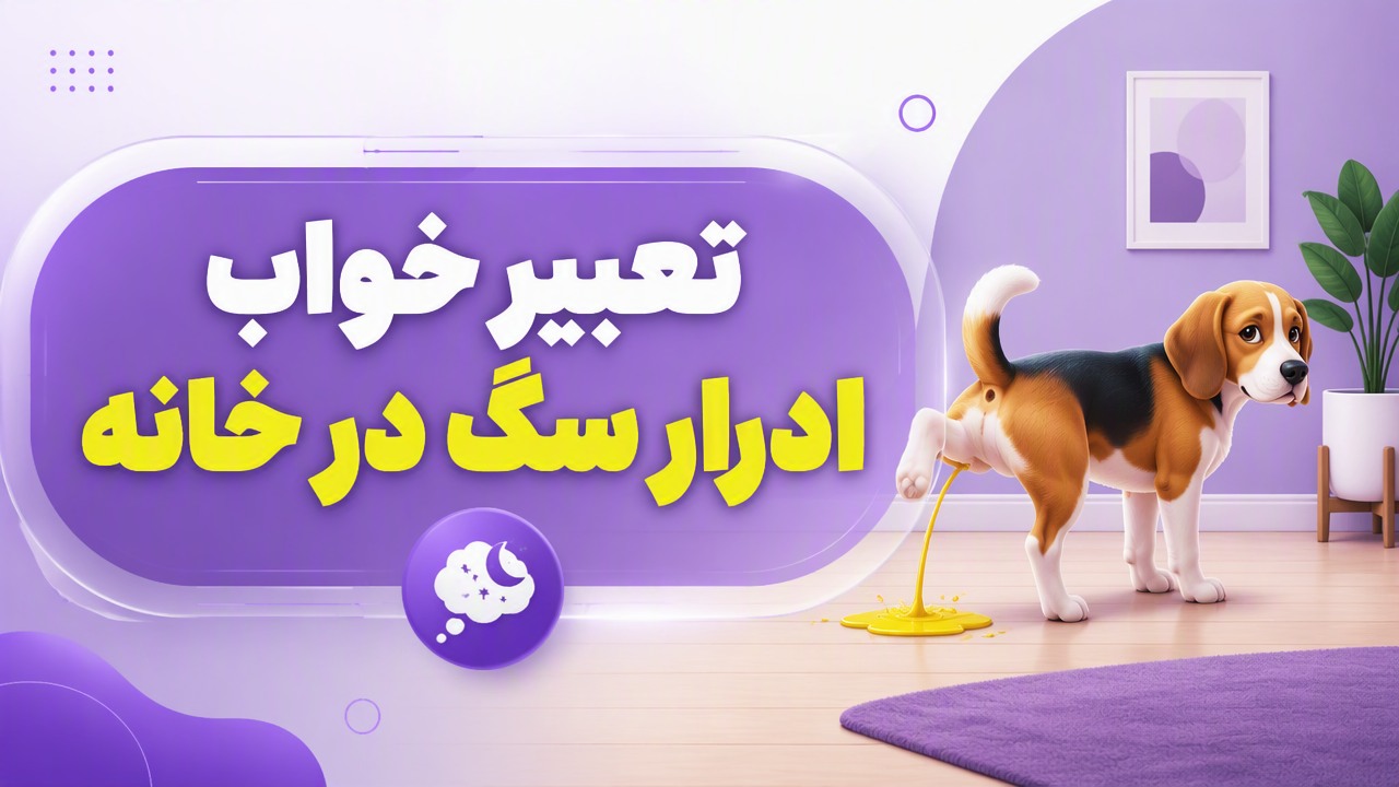 تعبیر خواب ادرار سگ در خانه
