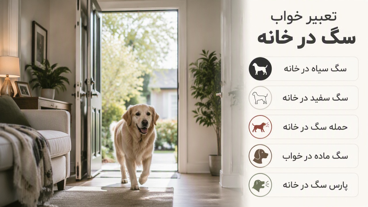 تعبیر خواب آمدن سگ به خانه, تعبیر خواب سگ در خانه, تعبیر خواب سگ سیاه در خانه, تعبیر خواب سگ سفید در خانه, تعبیر خواب حمله سگ در خانه, تعبیر خواب سگ ماده, تعبیر خواب پارس سگ,