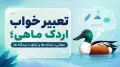 تعبیر خواب اردک ماهی؛ معانی، نشانه ها و تفاوت دیدگاه ها