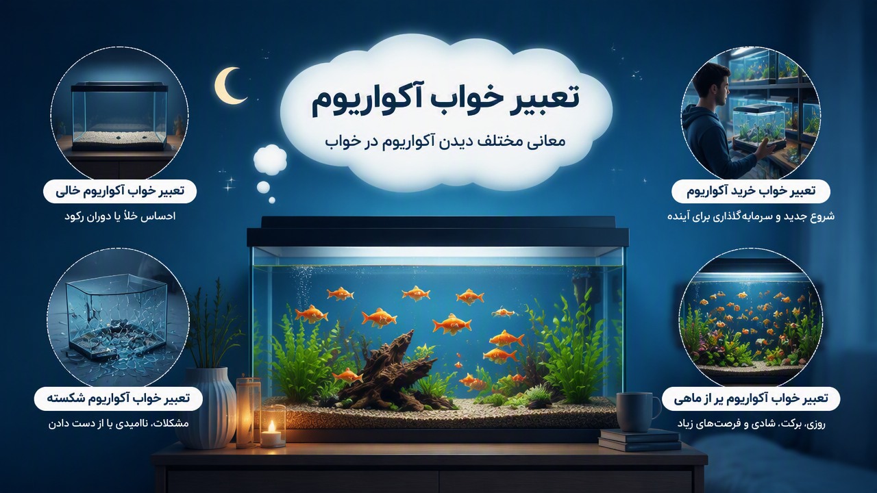 تعبیر خواب آکواریوم, تعبیر خواب آکواریوم خالی, تعبیر خواب آکواریوم شکسته, تعبیر خواب خرید آکواریوم, تعبیر خواب آکواریوم پر از ماهی,