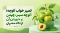 تعبیر خواب آلوچه؛ آلوچه سبز، چیدن و خوردن آن از نگاه معبران