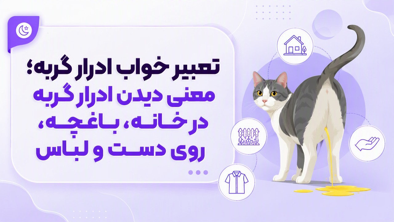 تعبیر خواب ادرار گربه؛ معنی دیدن ادرار گربه در خانه، باغچه، روی دست و لباس