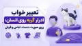 تعبیر خواب ادرار گربه روی انسان؛ روی صورت، دست، لباس و فرش