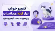 تعبیر خواب ادرار گربه روی انسان؛ روی صورت، دست، لباس و فرش
