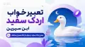 تعبیر خواب اردک سفید ابن سیرین | معنی اردک سفید در خواب از نگاه معبران مختلف