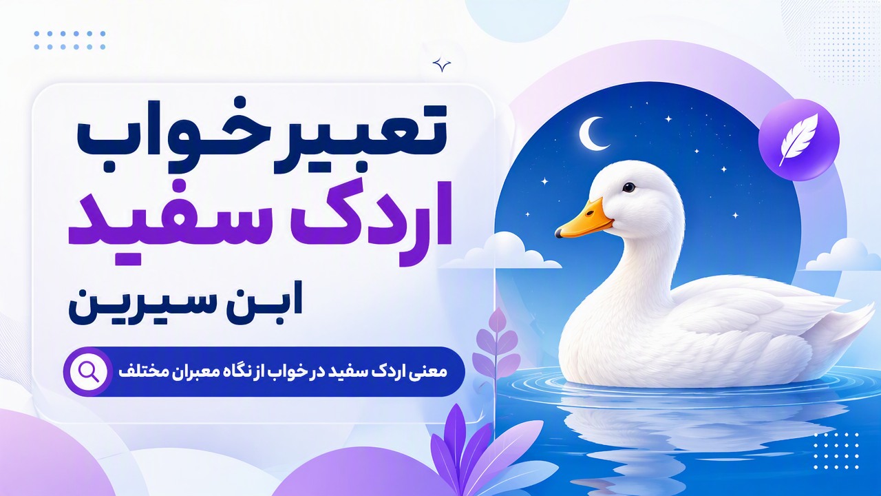 تعبیر خواب اردک سفید ابن سیرین | معنی اردک سفید در خواب از نگاه معبران مختلف