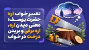 تعبیر خواب اره حضرت یوسف؛ معنی دیدن اره، اره برقی و بریدن درخت در خواب