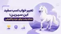 تعبیر خواب اسب سفید ابن سیرین؛ نشانه بخت نیکو، عزت و کامیابی