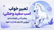 تعبیر خواب اسب سفید وحشی؛ پیام پاکیِ رام‌نشده و نیرویی که باید هدایت شود