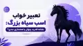 تعبیر خواب اسب سیاه بزرگ: نشانه قدرت پنهان یا هشداری جدی؟