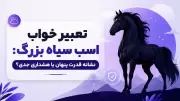 تعبیر خواب اسب سیاه بزرگ: نشانه قدرت پنهان یا هشداری جدی؟