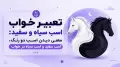 تعبیر خواب اسب سیاه و سفید: معنی دیدن اسب دو رنگ، اسب سفید و اسب سیاه در خواب