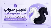 تعبیر خواب اسب سیاه و سفید: معنی دیدن اسب دو رنگ، اسب سفید و اسب سیاه در خواب