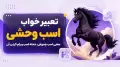 تعبیر خواب اسب وحشی؛ معنی اسب چموش، حمله اسب و رام کردن آن