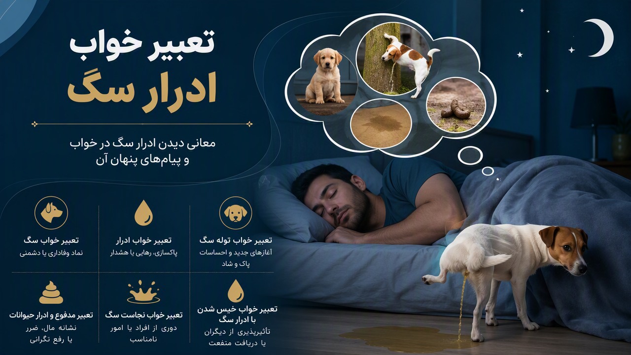 تعبیر خواب ادرار سگ, تعبیر خواب سگ, تعبیر خواب ادرار, ادرار کردن سگ در خواب, تعبیر مدفوع و ادرار حیوانات, تعبیر خواب توله سگ, تعبیر خواب نجاست سگ, تعبیر خواب خیس شدن با ادرار سگ, 