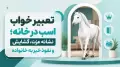 تعبیر خواب اسب در خانه؛ نشانه عزت، گشایش و نفوذ خیر به خانواده