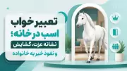 تعبیر خواب اسب در خانه؛ نشانه عزت، گشایش و نفوذ خیر به خانواده