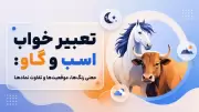 تعبیر خواب اسب و گاو: معنی رنگ‌ها، موقعیت‌ها و تفاوت نمادها