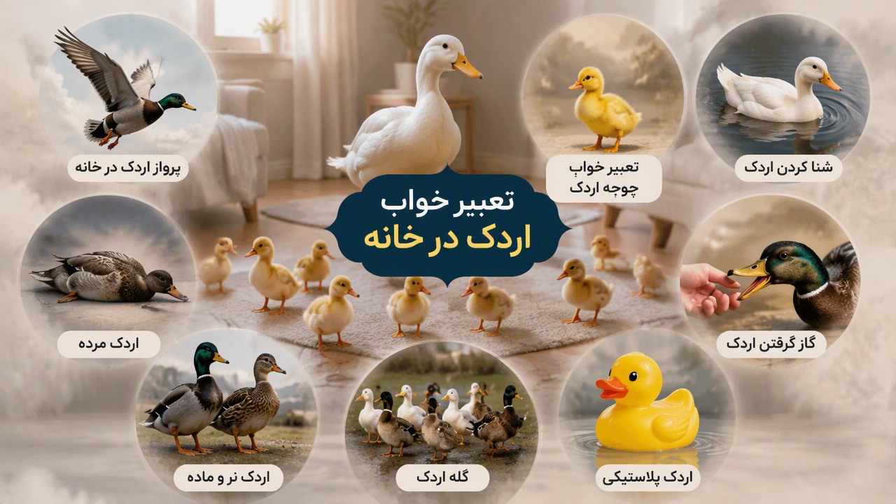 تعبیر خواب اردک در خانه, تعبیر خواب جوجه اردک, اردک سفید در خواب, پرواز اردک در خانه, شنا کردن اردک, اردک مرده, گاز گرفتن اردک, اردک نر و ماده, گله اردک, اردک پلاستیکی,