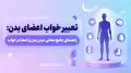 تعبیر خواب اعضای بدن: راهنمای جامع معانی دیدن بدن و اعضا در خواب